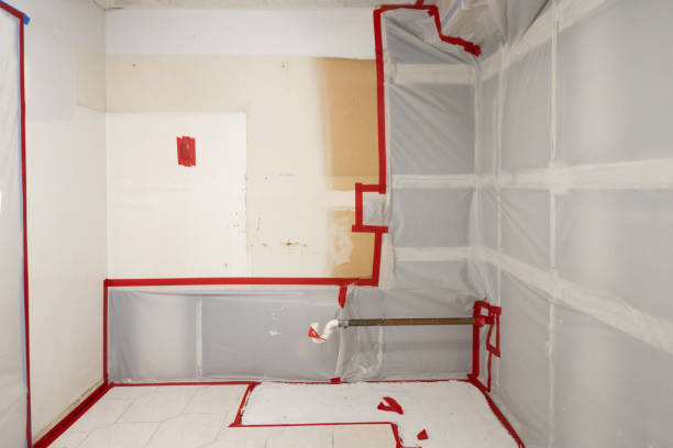 Best Emergency Mold Remediation  in Queens Gate, PA