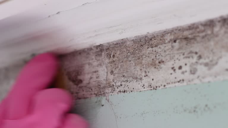 Best Mold Remediation for Vacation Homes  in Queens Gate, PA